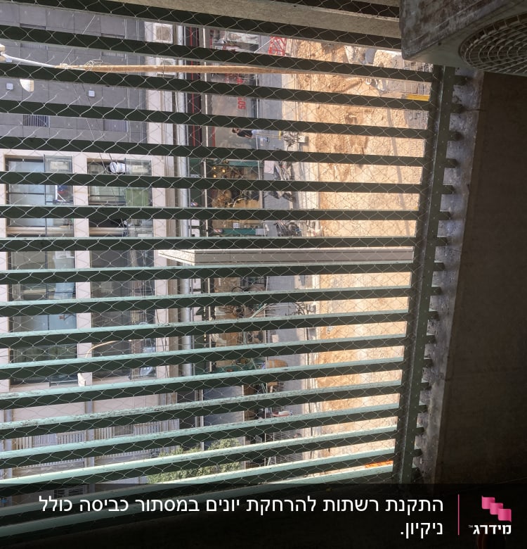 רשת מתכת מותקנת על חלון למניעת כניסת יונים